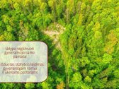 Parduodamas 7,7496 ha ūkinio miško sklypas - nuotraukos Nr. 2