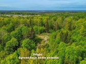 Parduodamas 7,7496 ha ūkinio miško sklypas - nuotraukos Nr. 3