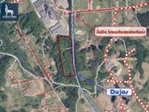 Parduodamas 7,7496 ha ūkinio miško sklypas - nuotraukos Nr. 5