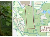 Parduodamas 7,7496 ha ūkinio miško sklypas - nuotraukos Nr. 6