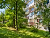 Nuomojamas Tvarkingas, Prieš Metus - nuotraukos Nr. 21