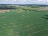 Parduodamas 7.4636 ha žemės ūkio paskirties - nuotraukos Nr. 14