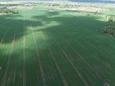 Parduodamas 7.4636 ha žemės ūkio paskirties - nuotraukos Nr. 15