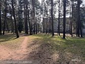 Erdvus 3 Kambarių Butas Aukštakalnio Mikrorajone. - nuotraukos Nr. 17
