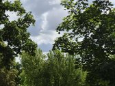 Parduodamas 2 Kambarių Butas Marijampolėje – - nuotraukos Nr. 4