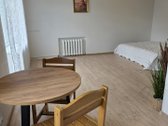 Išnuomojamas jaukus 1 kambario butas pačiame - nuotraukos Nr. 5