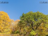 _ - nuotraukos Nr. 23