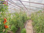 Parduodamas Mūrinis Sodo Namas Su 6 Arų - nuotraukos Nr. 19
