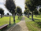 Parduodamos Komercinės Patalpos Obeliuose – - nuotraukos Nr. 6