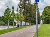 Parduodami Du Besiribojantys Sklypai Su Namu - nuotraukos Nr. 13