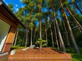Privatus Namas Valakampių Pušyne  Žuvėdrų G. 37a - nuotraukos Nr. 17