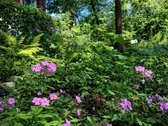 Parduodamas Žemės Sklypas Šalia Šv. Apaštalų - nuotraukos Nr. 8