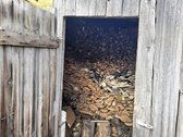 Parduodama jauki, sutvarkyta, išpuoselėta ir - nuotraukos Nr. 13