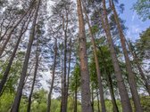Parduodami Žemės Sklypai Kačerginėje, J - nuotraukos Nr. 10