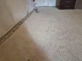 Parduodamas sodo namas su žemės sklypu. - nuotraukos Nr. 14