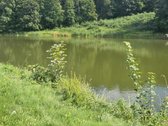 Nuotrauka Ai redagavimas. - nuotraukos Nr. 8