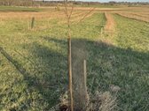 Parduodu 6.22 ha sklypo dalį iš 9,57 ha, su - nuotraukos Nr. 4