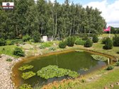 Parduodamas išskirtinio grožio 13,1588 ha - nuotraukos Nr. 13