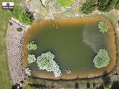Parduodamas išskirtinio grožio 13,1588 ha - nuotraukos Nr. 14