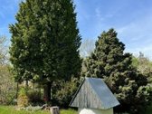 Parduodamas Sodo Namas Su 11.2 a Sklypu - nuotraukos Nr. 16