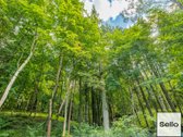 – Nt ekspertai be procentų - nuotraukos Nr. 36