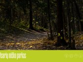 „Miško sprintas“ – tai namai, kuriuose - nuotraukos Nr. 26