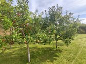 Jauki ir kokybiškai atnaujinta namo dalis - nuotraukos Nr. 21