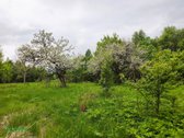 Parduodama Sodybvietė Su 6ha Žemės Sklypu – - nuotraukos Nr. 4