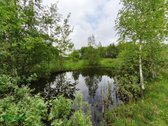 Parduodama Sodybvietė Su 6ha Žemės Sklypu – - nuotraukos Nr. 6