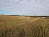 Du 0,95 ha ir 1,28 ha žemės ūkio paskirties - nuotraukos Nr. 8