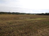 Du 0,95 ha ir 1,28 ha žemės ūkio paskirties - nuotraukos Nr. 9