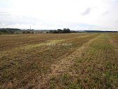 Du 0,95 ha ir 1,28 ha žemės ūkio paskirties - nuotraukos Nr. 12