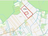Parduodamas Dirbamas 5,9 ha žemės sklypas - nuotraukos Nr. 7