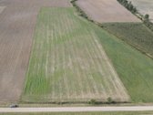 Parduodamas 3 ha žemės sklypas Šakių raj. - nuotraukos Nr. 2
