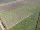 Parduodamas 3 ha žemės sklypas Šakių raj. - nuotraukos Nr. 3