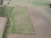 Parduodamas 3 ha žemės sklypas Šakių raj. - nuotraukos Nr. 4