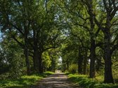 Parduodamas istorinis dvaras Lietuvos ir - nuotraukos Nr. 14