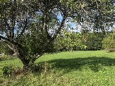 Parduodamas 26,29a sklypas Kenos km.,rukainių - nuotraukos Nr. 2