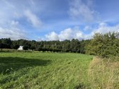 Parduodamas 26,29a sklypas Kenos km.,rukainių - nuotraukos Nr. 3