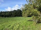 Parduodamas 26,29a sklypas Kenos km.,rukainių - nuotraukos Nr. 4
