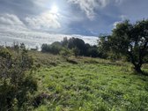 Parduodamas 26,29a sklypas Kenos km.,rukainių - nuotraukos Nr. 5