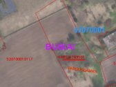 Parduodamas taisyklingos formos 69,62 arų - nuotraukos Nr. 4