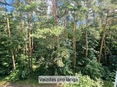 Parduodamas Saulėtas Ir Jaukus 3 Kambarių - nuotraukos Nr. 2