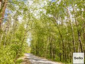  – Nt ekspertai be procentų - nuotraukos Nr. 30