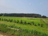 Kurk savo namus gamtos ir miesto balanse – - nuotraukos Nr. 5