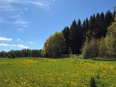 Sodyba su gyvybės šaltiniu: namai, kuriuose - nuotraukos Nr. 30