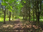 Kupiškio laukų, miškų ir sodžių apsuptyje, - nuotraukos Nr. 11
