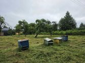 Kaune, Garšvės g., parduodamas 11,36 arų - nuotraukos Nr. 8
