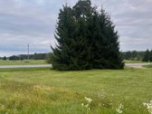 Parduodamas gyvenamas namas 53,23 kv.m ir - nuotraukos Nr. 21