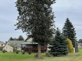 Parduodamas namas su 0,55 ha namų valdos sklypu. - nuotraukos Nr. 2